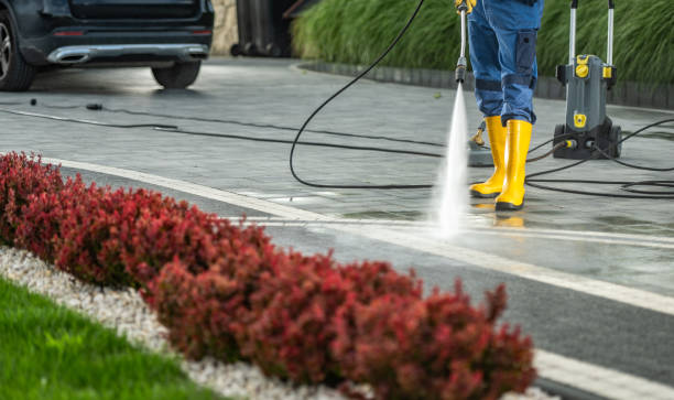 Best Fence Cleaning and Maintenance in Hebron, MD